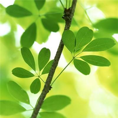 乐鱼app官方下载入口