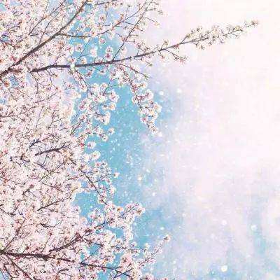 大发黄金版888下载