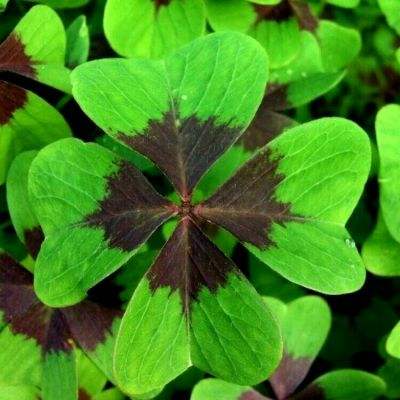 米博体育官方网站入口