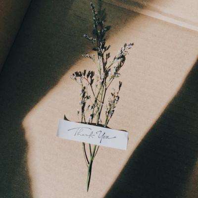 开云·kaiyun体育手机app下载