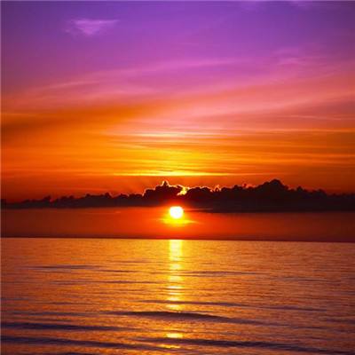 bob半岛在线登录