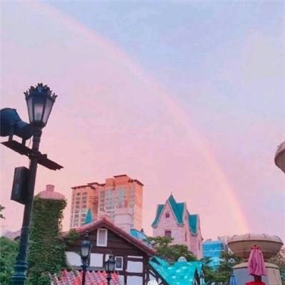 盈彩网手机app下载截图