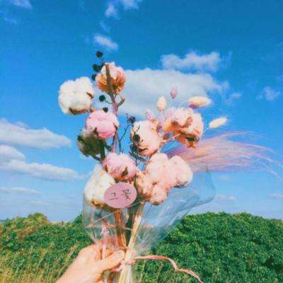 BET9登录APPapp下载