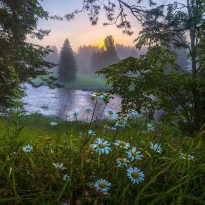 易火棋牌app下载