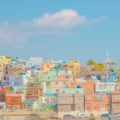 kaiyun·开云手机app下载